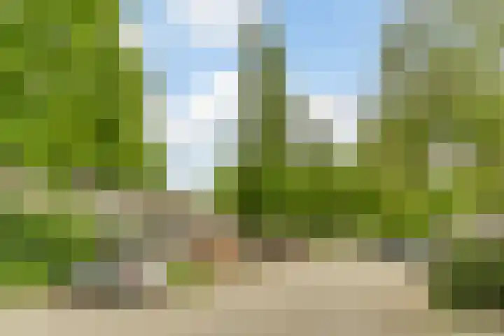 Herdersveld 18 Geldrop thumbnail 38