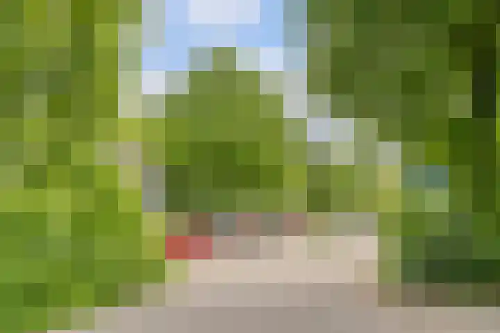 Herdersveld 18 Geldrop thumbnail 39