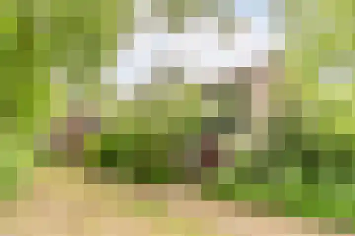Herdersveld 18 Geldrop thumbnail 40