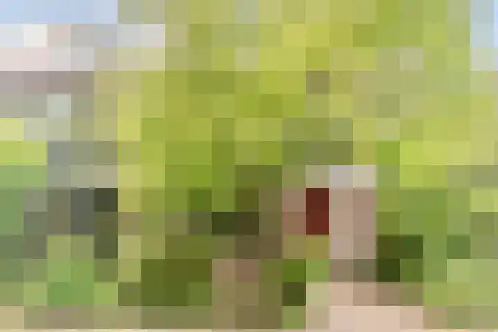 Herdersveld 18 Geldrop thumbnail 41