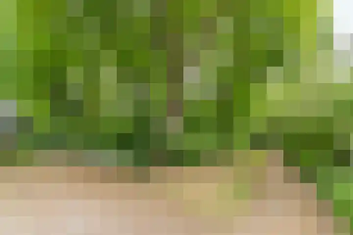 Herdersveld 18 Geldrop thumbnail 43