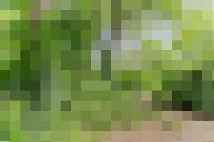 Herdersveld 18 Geldrop thumbnail 44