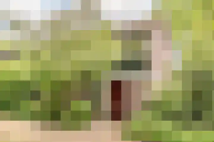 Herdersveld 18 Geldrop thumbnail 48