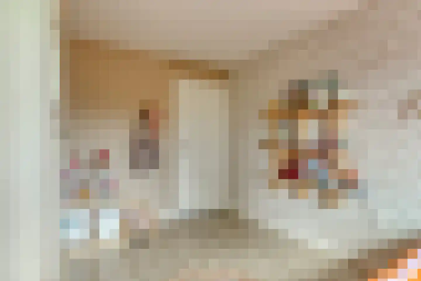 Herdersveld 19 Geldrop thumbnail 24