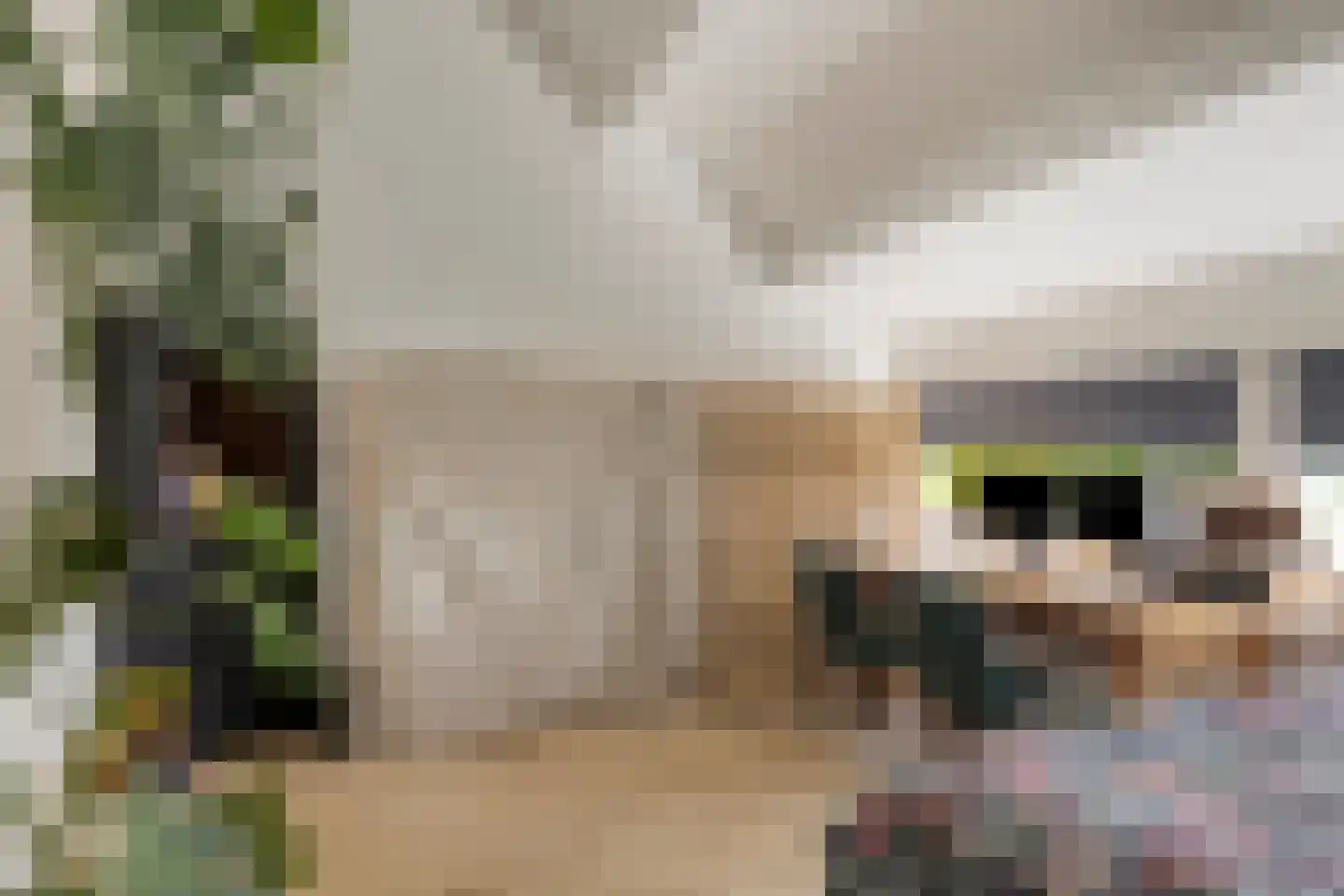 Herdersveld 19 Geldrop thumbnail 31