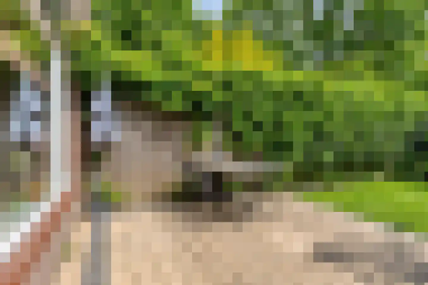 Herdersveld 19 Geldrop thumbnail 33