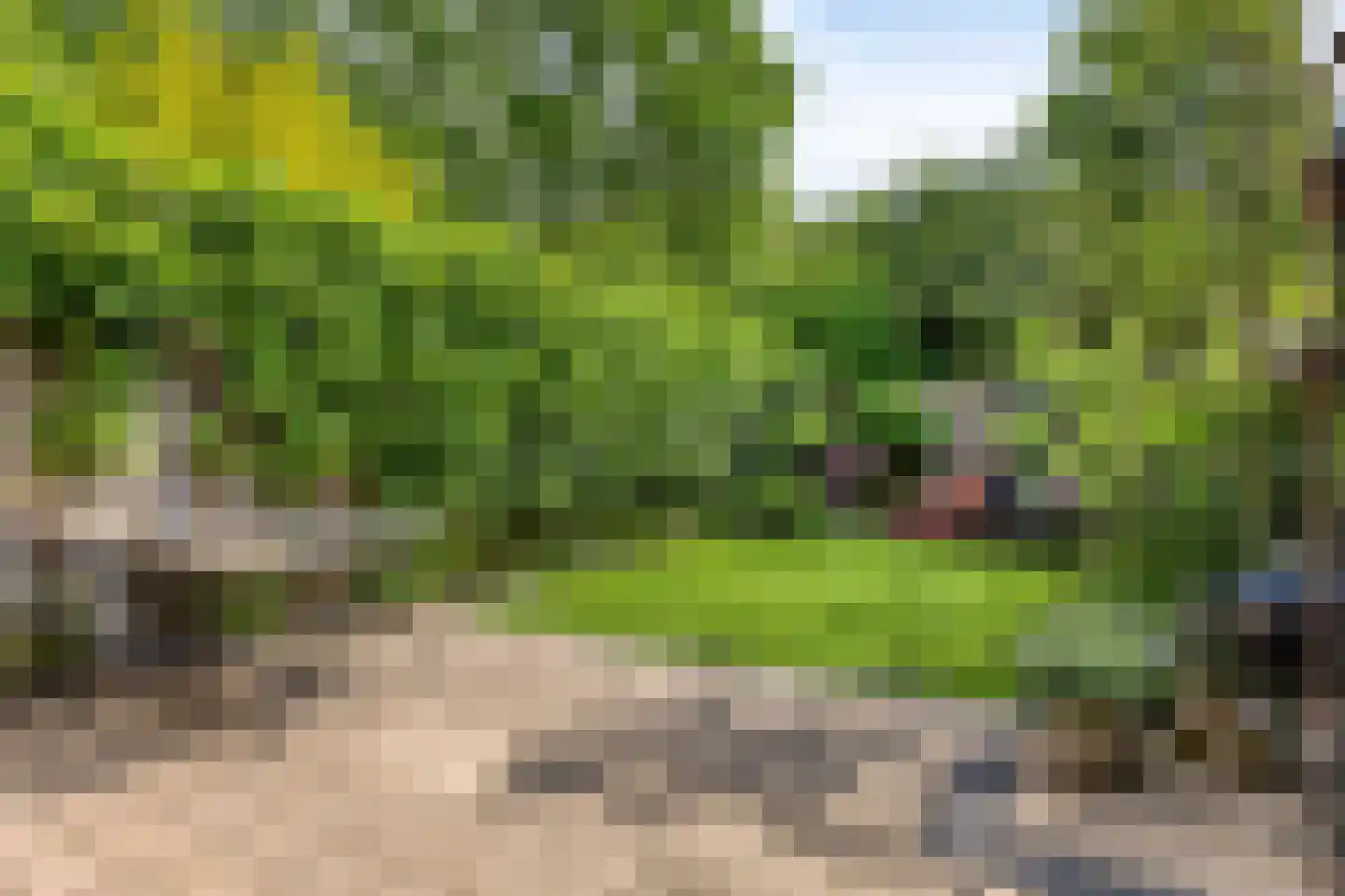 Herdersveld 19 Geldrop thumbnail 34