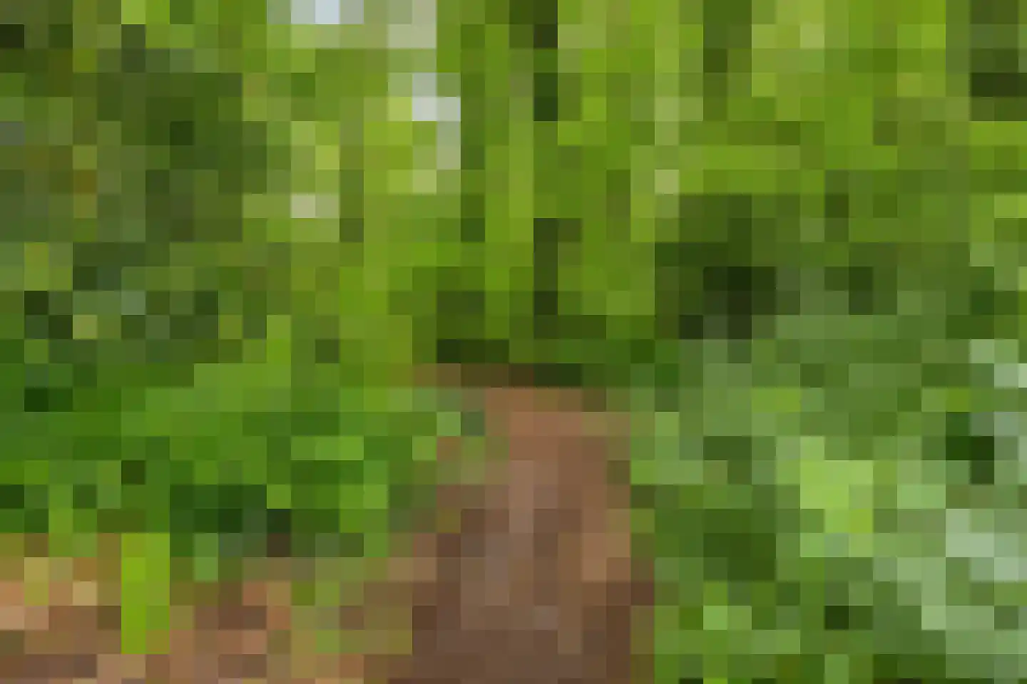 Herdersveld 19 Geldrop thumbnail 35