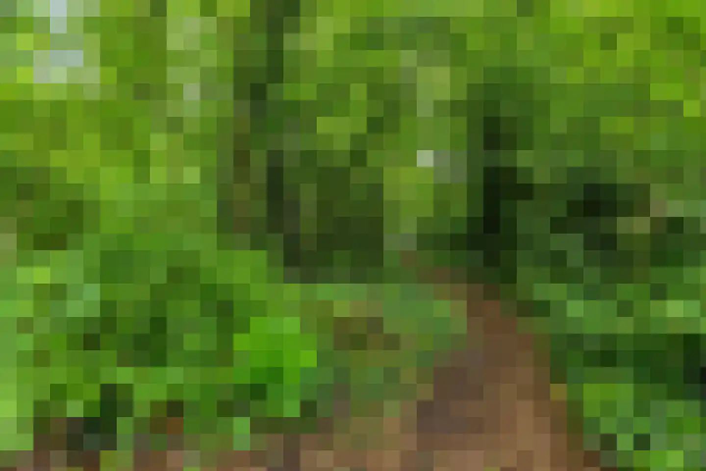 Herdersveld 19 Geldrop thumbnail 36