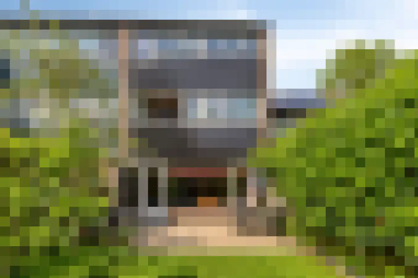 Herdersveld 19 Geldrop thumbnail 4