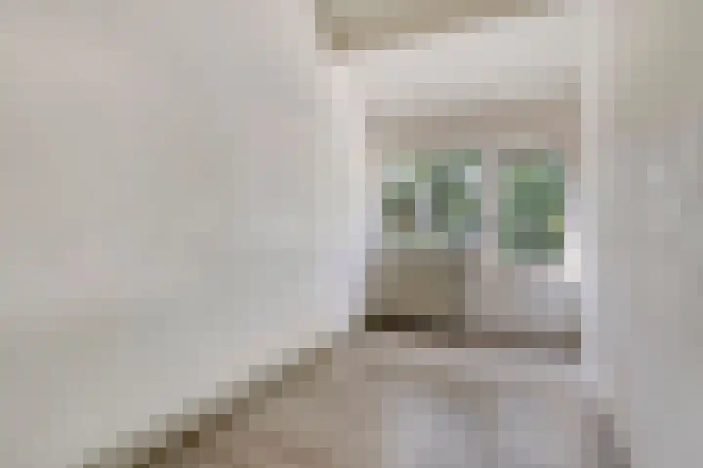 Herdersveld 25 Geldrop thumbnail 22