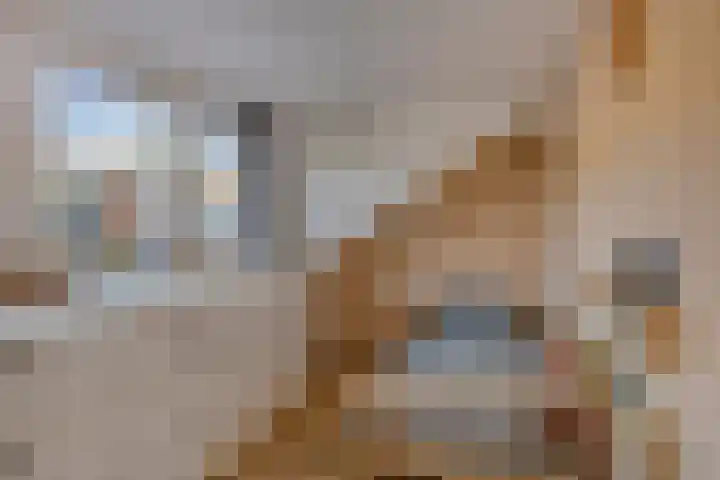 Herdersveld 52 Geldrop thumbnail 17