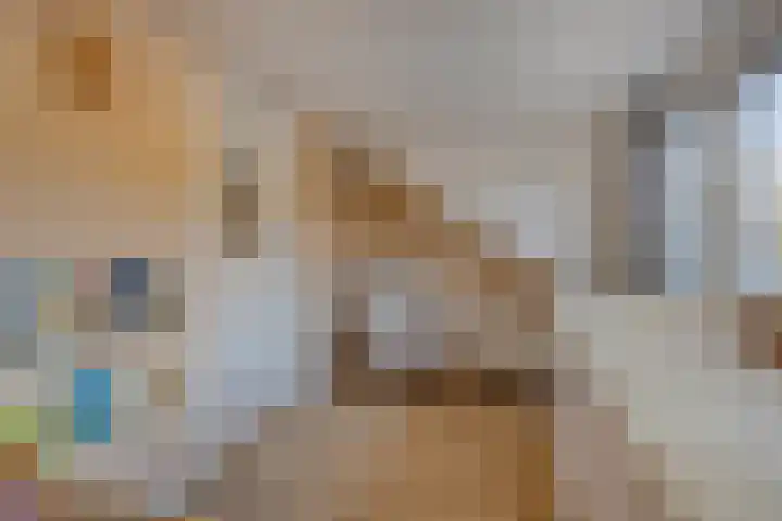 Herdersveld 52 Geldrop thumbnail 18