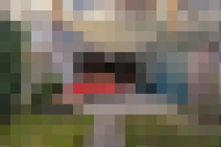 Herdersveld 52 Geldrop thumbnail 22