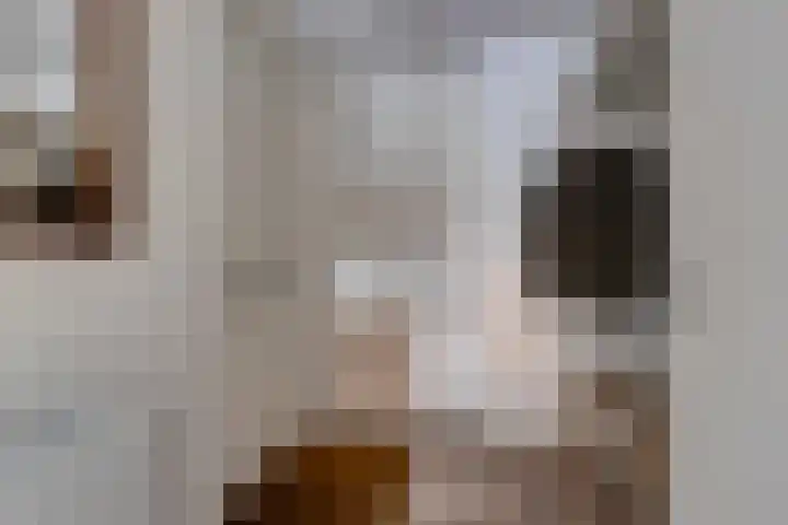Herdersveld 52 Geldrop thumbnail 5