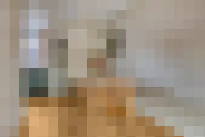 Herdersveld 52 Geldrop thumbnail 9