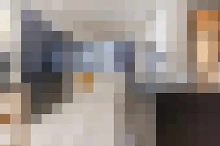 Herdersveld 60 Geldrop thumbnail 16