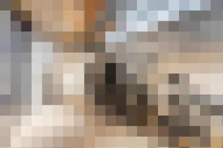 Herdersveld 60 Geldrop thumbnail 33