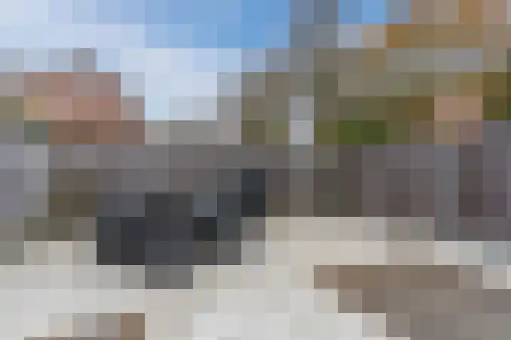 Herdersveld 60 Geldrop thumbnail 36
