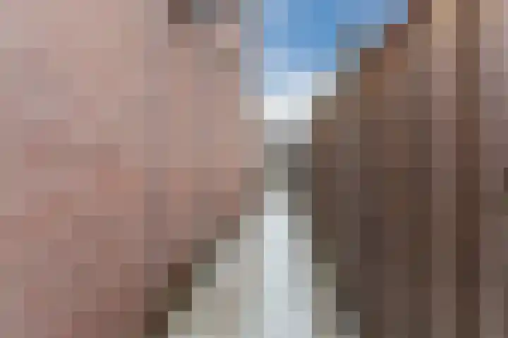 Herdersveld 60 Geldrop thumbnail 39