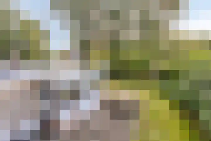 Herdersveld 60 Geldrop thumbnail 45