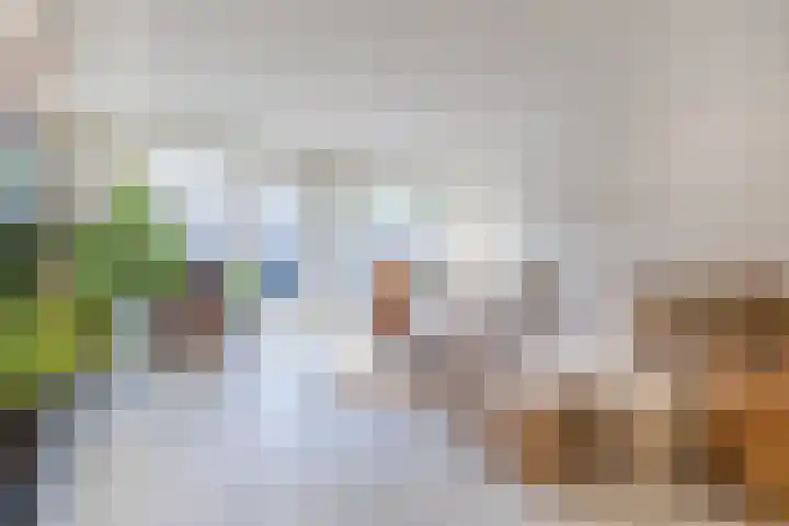 Herdersveld 60 Geldrop thumbnail 6