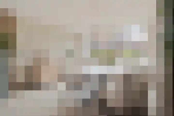 Herdersveld 97 Geldrop thumbnail 12