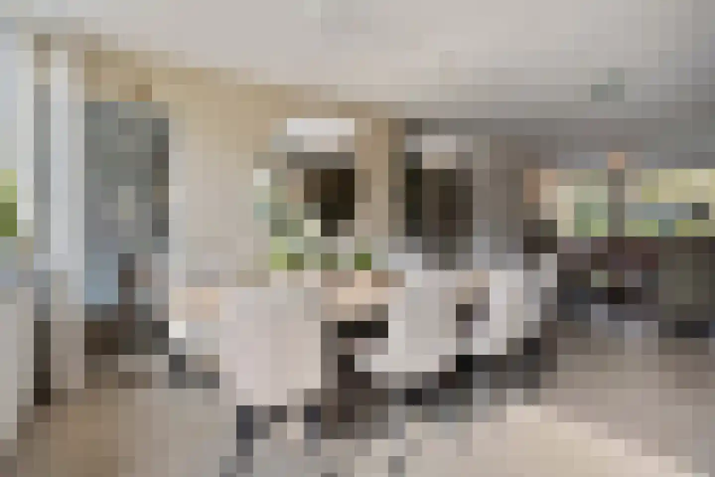 Herdersveld 97 Geldrop thumbnail 16