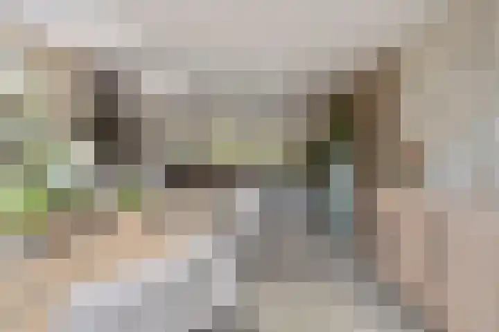 Herdersveld 97 Geldrop thumbnail 17