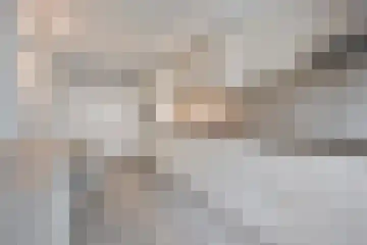 Herdersveld 97 Geldrop thumbnail 30