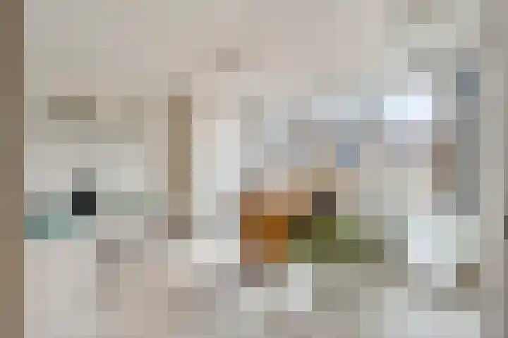 Herdersveld 97 Geldrop thumbnail 41