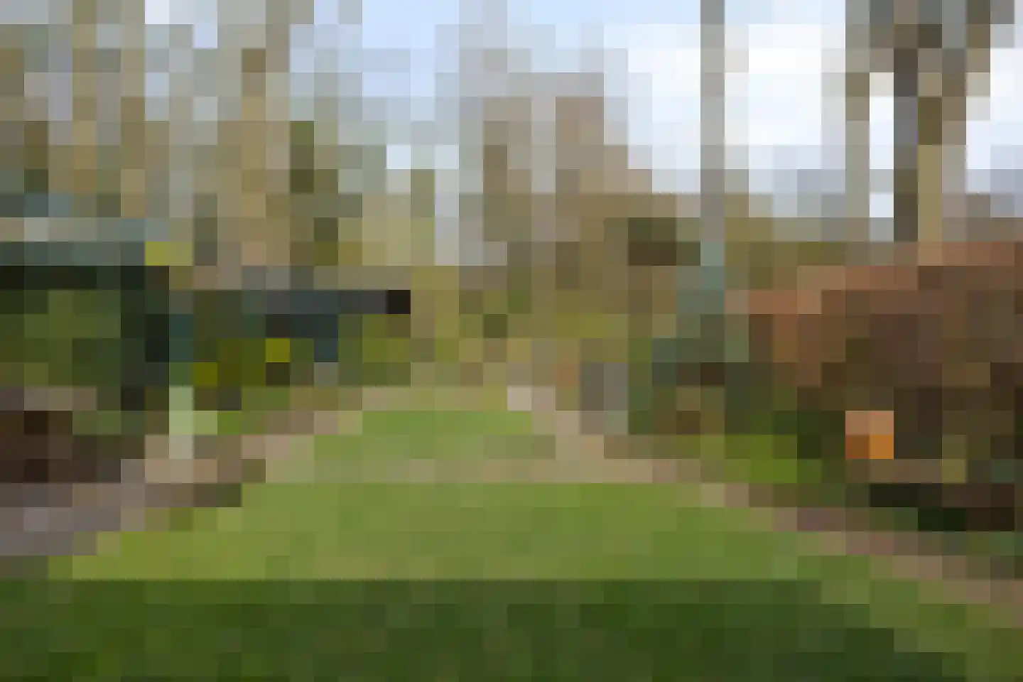 Herdersveld 97 Geldrop thumbnail 6