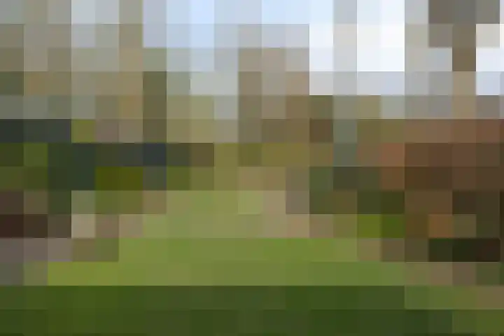 Herdersveld 97 Geldrop thumbnail 6