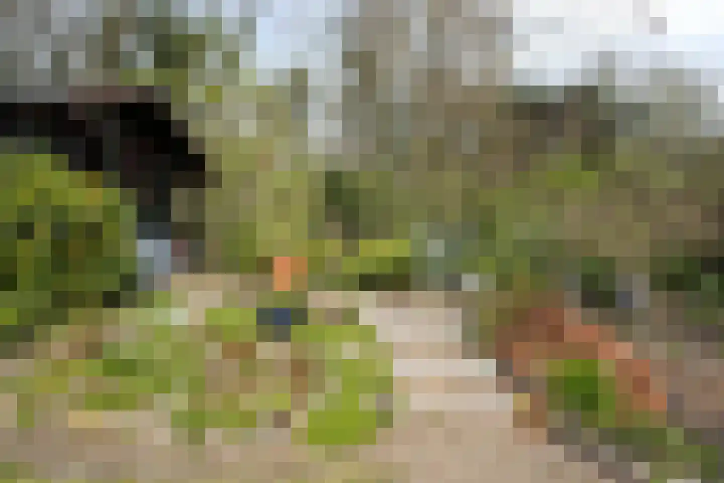 Herdersveld 97 Geldrop thumbnail 61