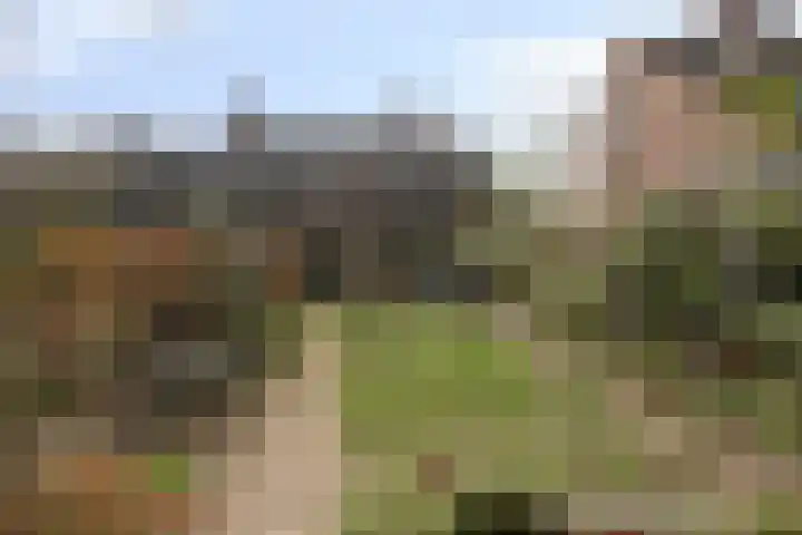 Herdersveld 97 Geldrop thumbnail 63