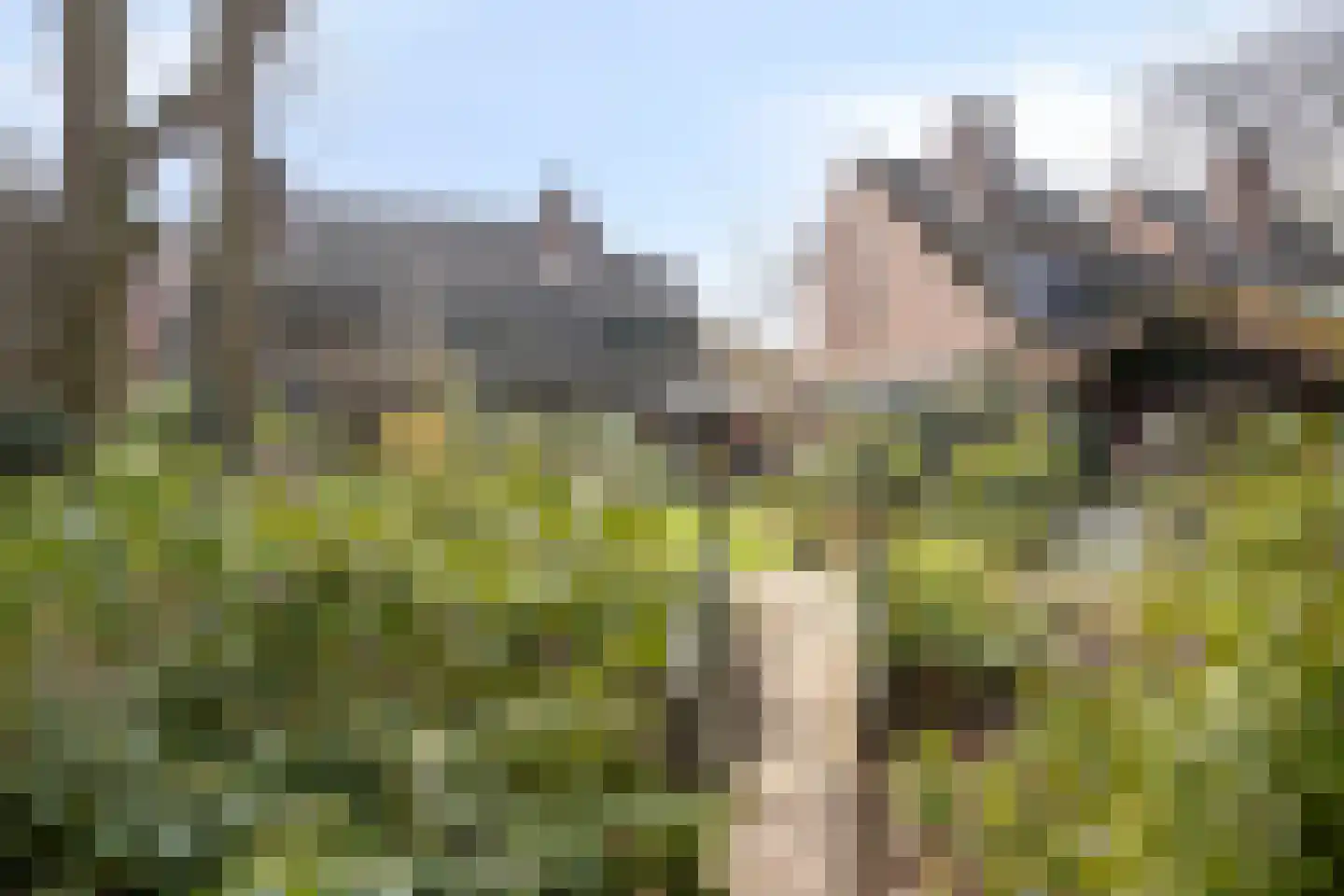 Herdersveld 97 Geldrop thumbnail 64