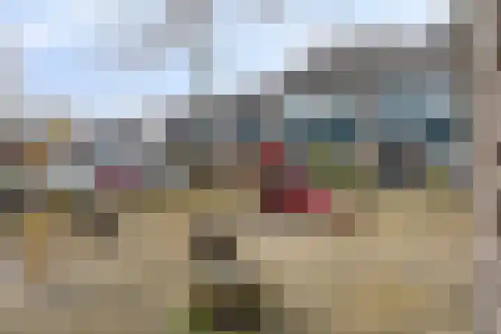 Herdersveld 97 Geldrop thumbnail 69