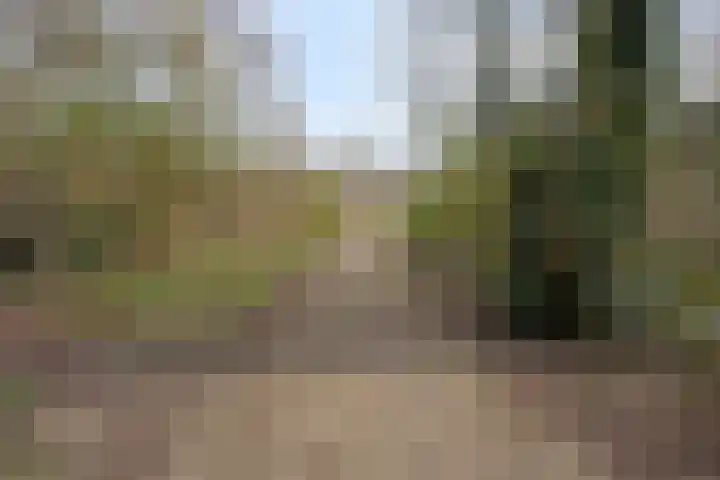 Herdersveld 97 Geldrop thumbnail 70