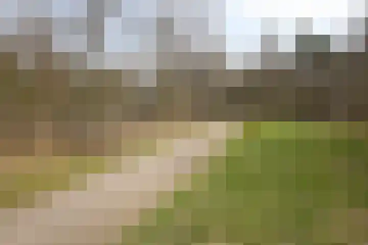 Herdersveld 97 Geldrop thumbnail 71