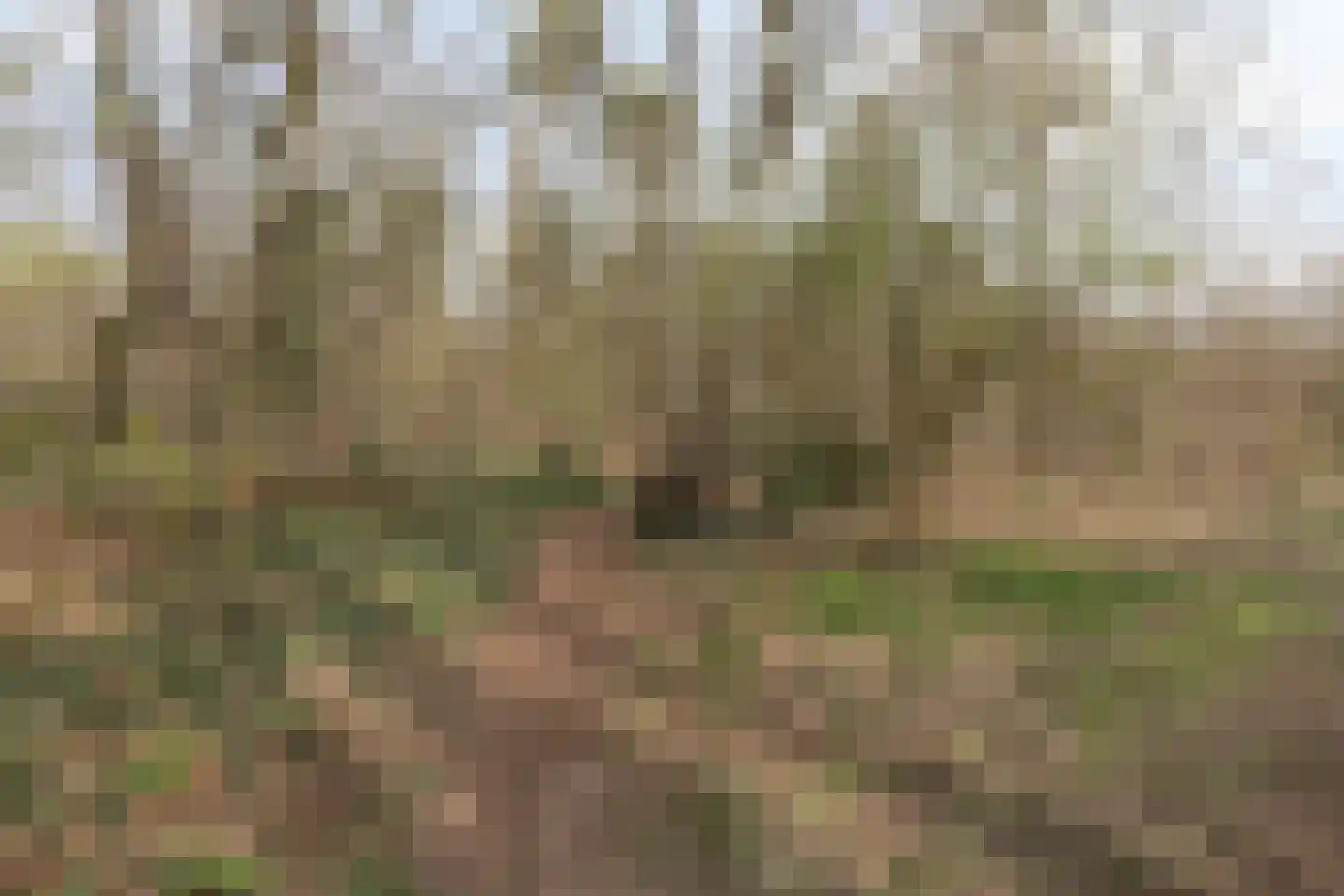 Herdersveld 97 Geldrop thumbnail 72