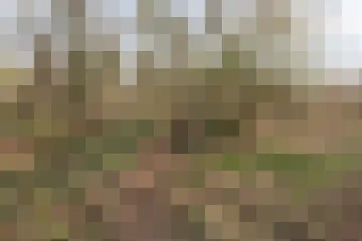 Herdersveld 97 Geldrop thumbnail 72