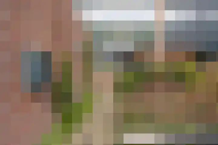 Herdersveld 97 Geldrop thumbnail 8