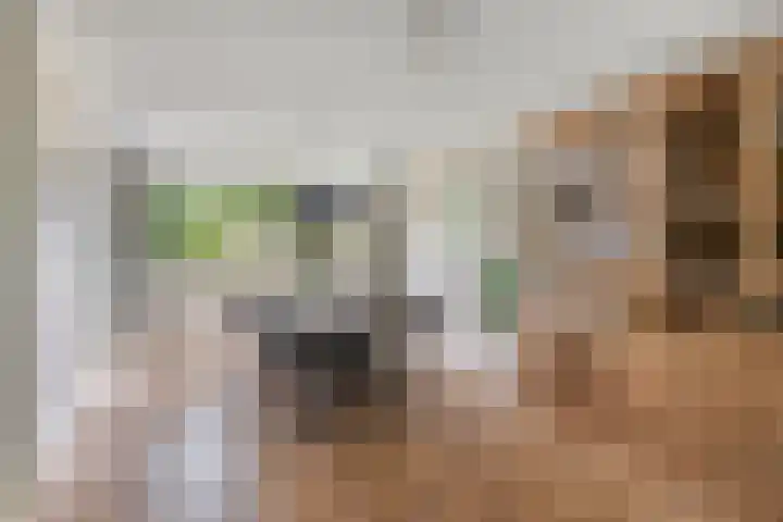 Herdersveld 99 Geldrop thumbnail 11