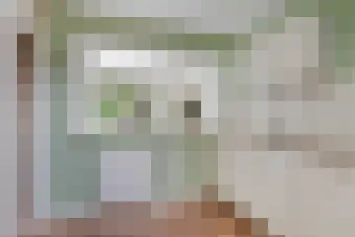 Herdersveld 99 Geldrop thumbnail 18