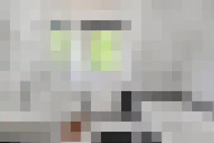 Herdersveld 99 Geldrop thumbnail 28