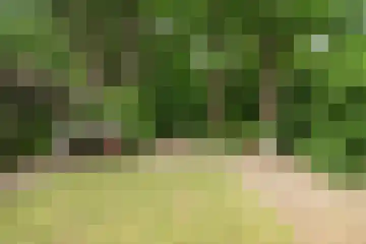 Herdersveld 99 Geldrop thumbnail 35