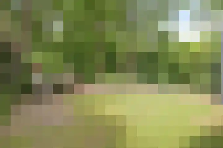 Herdersveld 99 Geldrop thumbnail 36