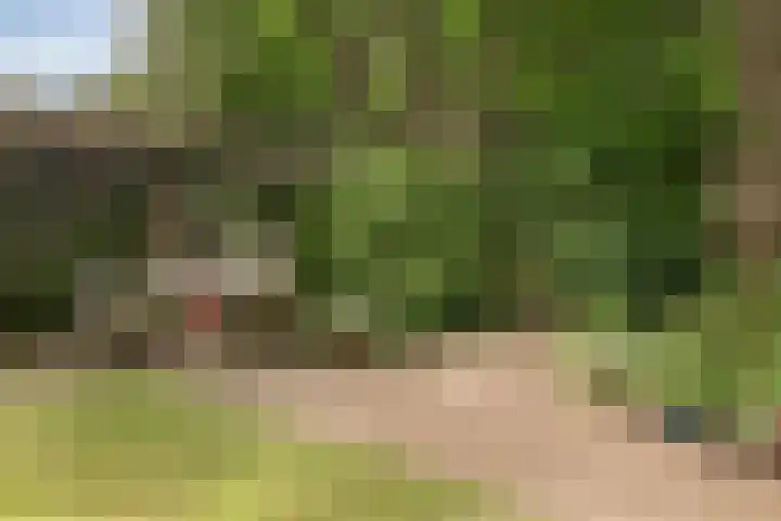 Herdersveld 99 Geldrop thumbnail 37
