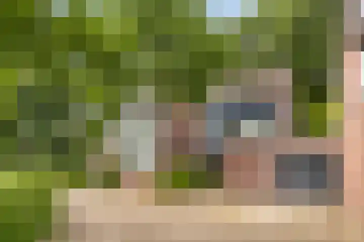 Herdersveld 99 Geldrop thumbnail 39
