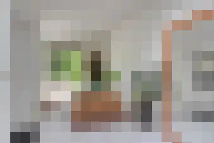 Herdersveld 99 Geldrop thumbnail 6
